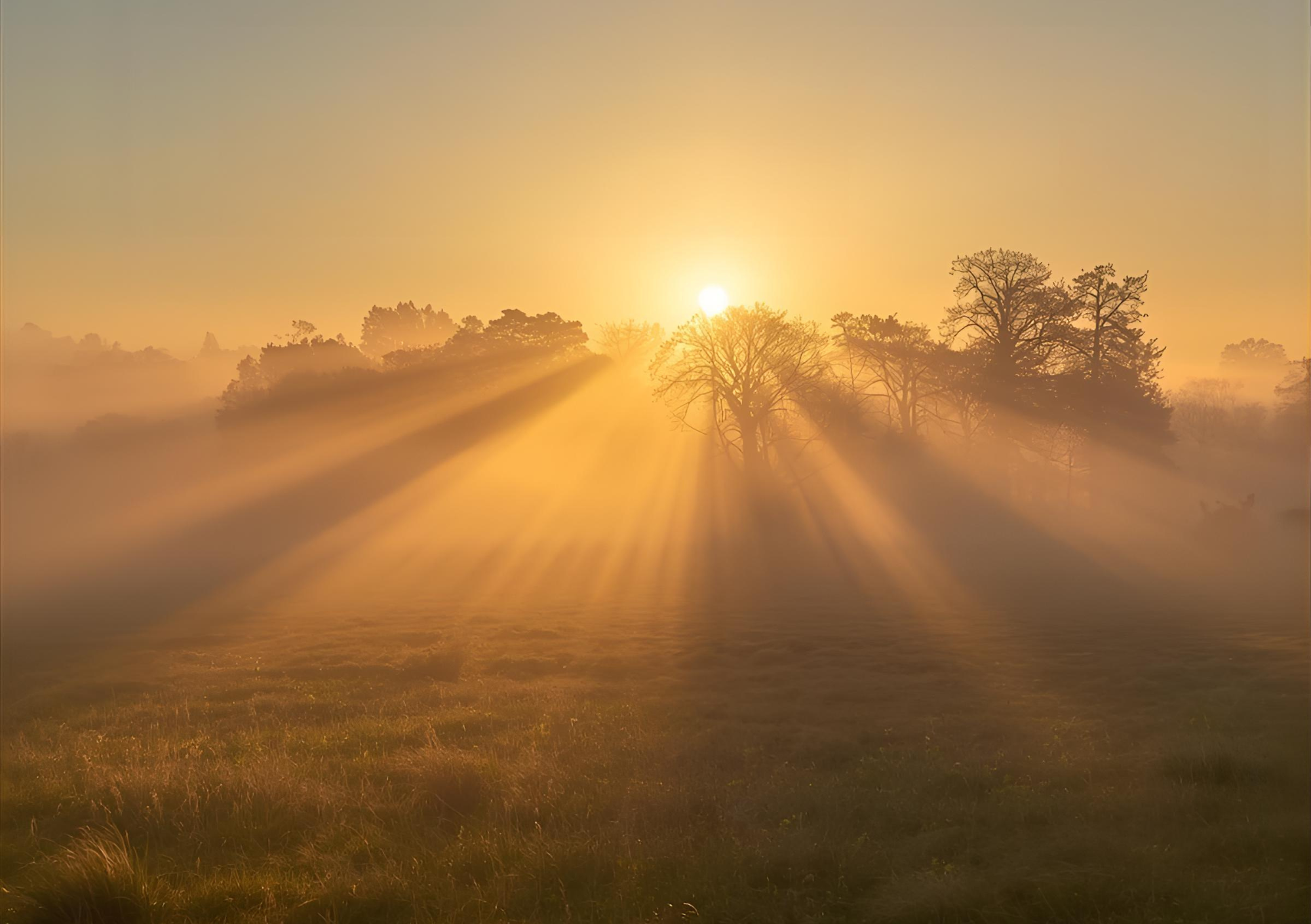 Serene sunset landscape representing inner wisdom and spiritual alignment, supporting the journey of releasing burdens and living in clarity.