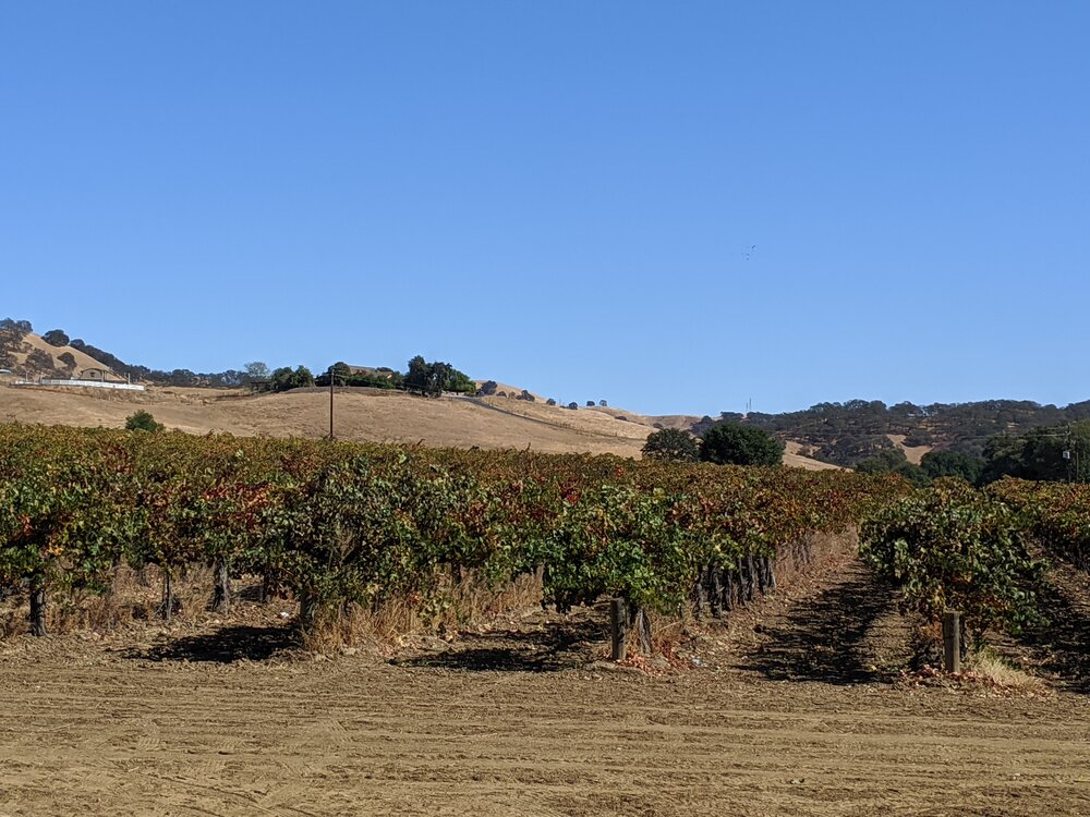 Wolfskill Cabernet Sauvignon