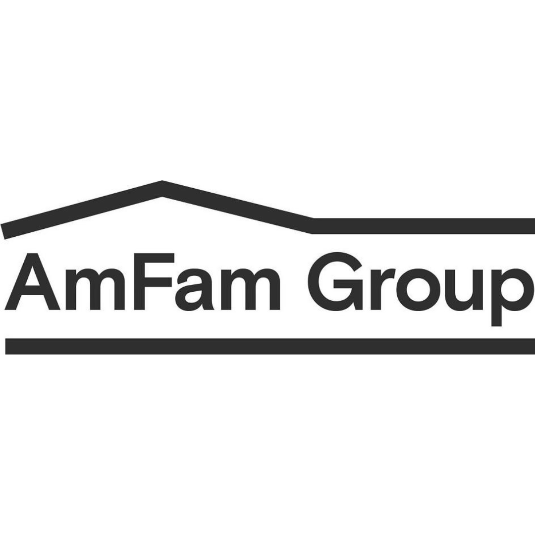 American Family Insurance Group