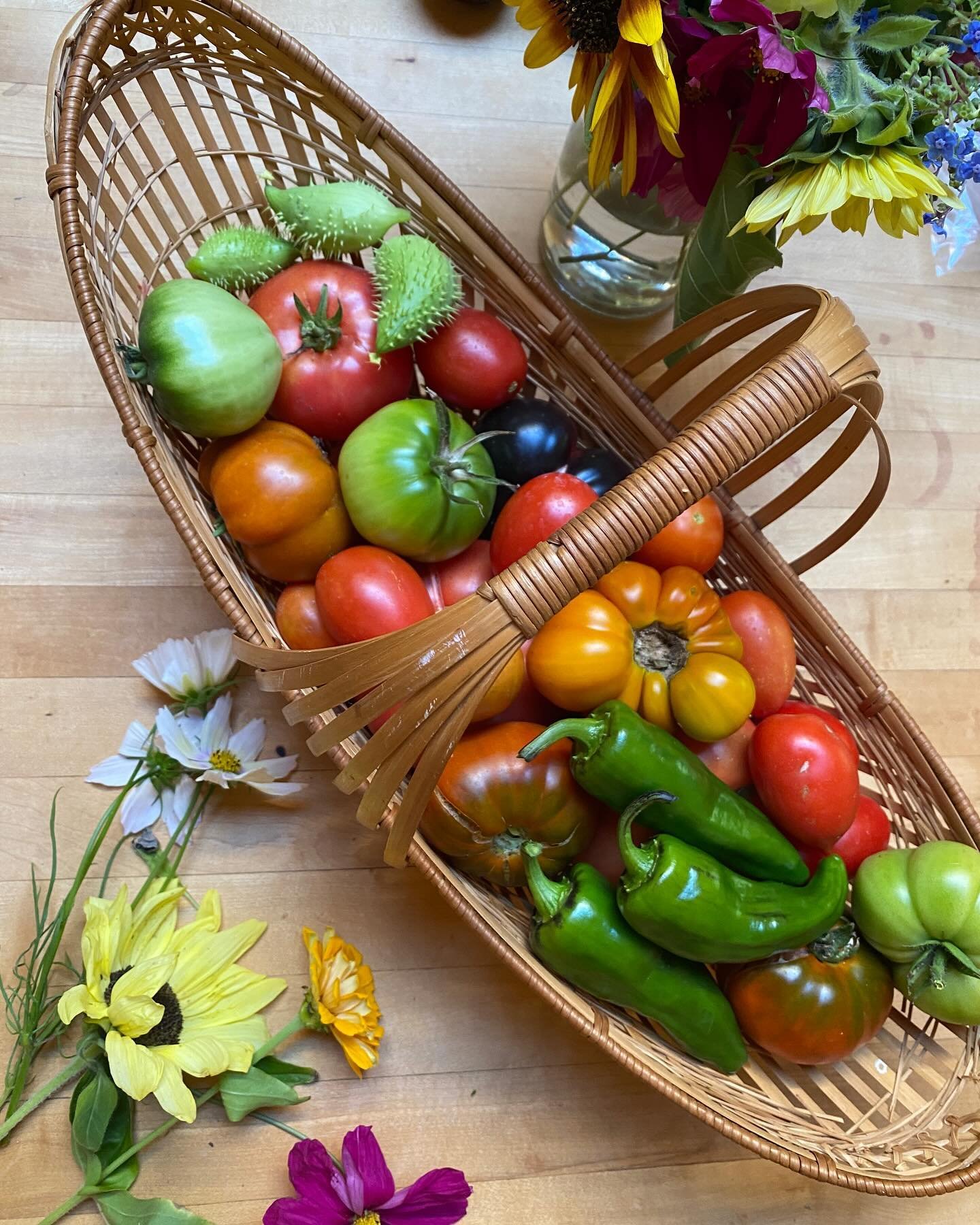Late Summer. Nature provides. Happy to be back in the garden.