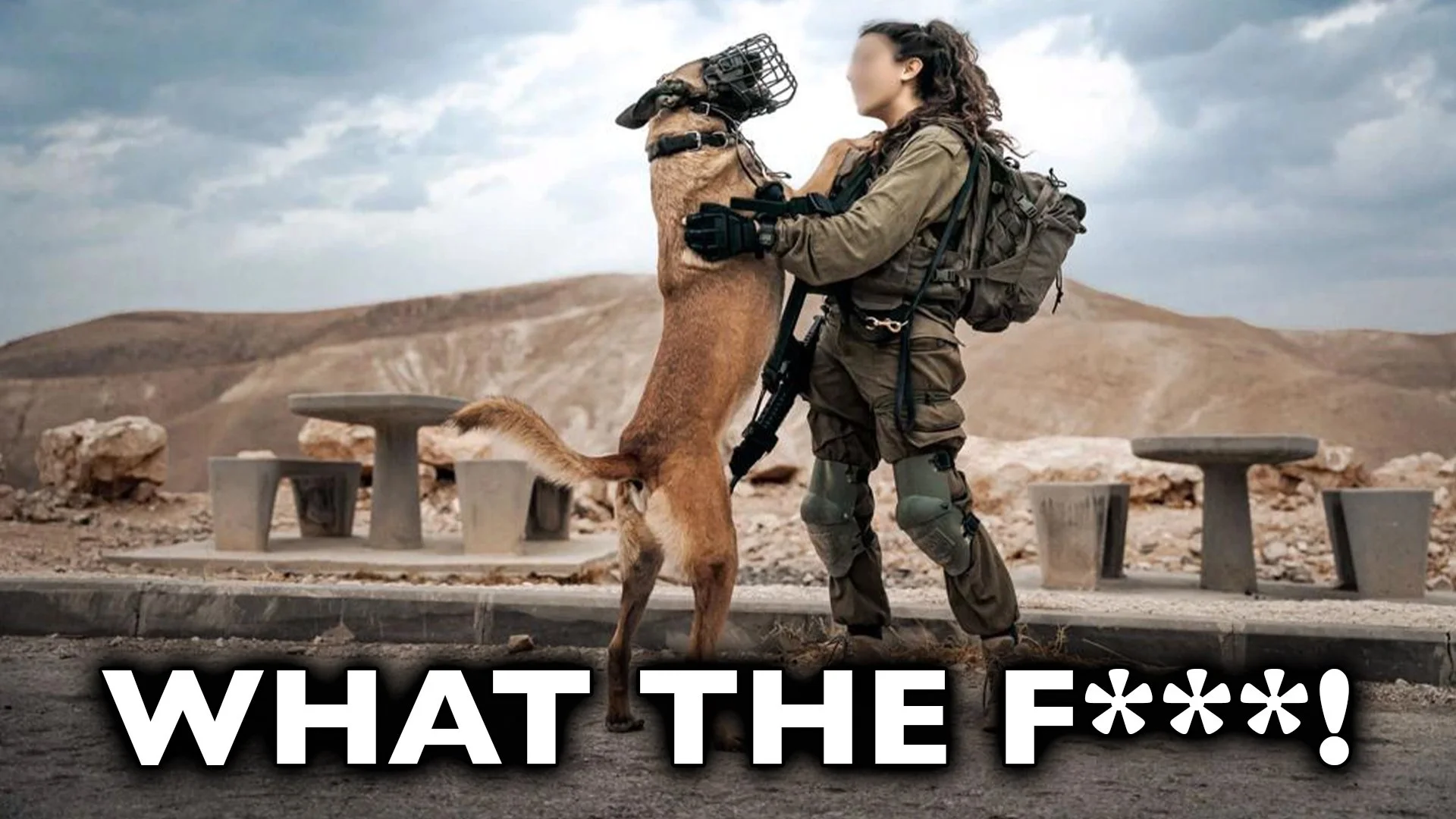 Israel Is Doing WHAT To Dogs? 