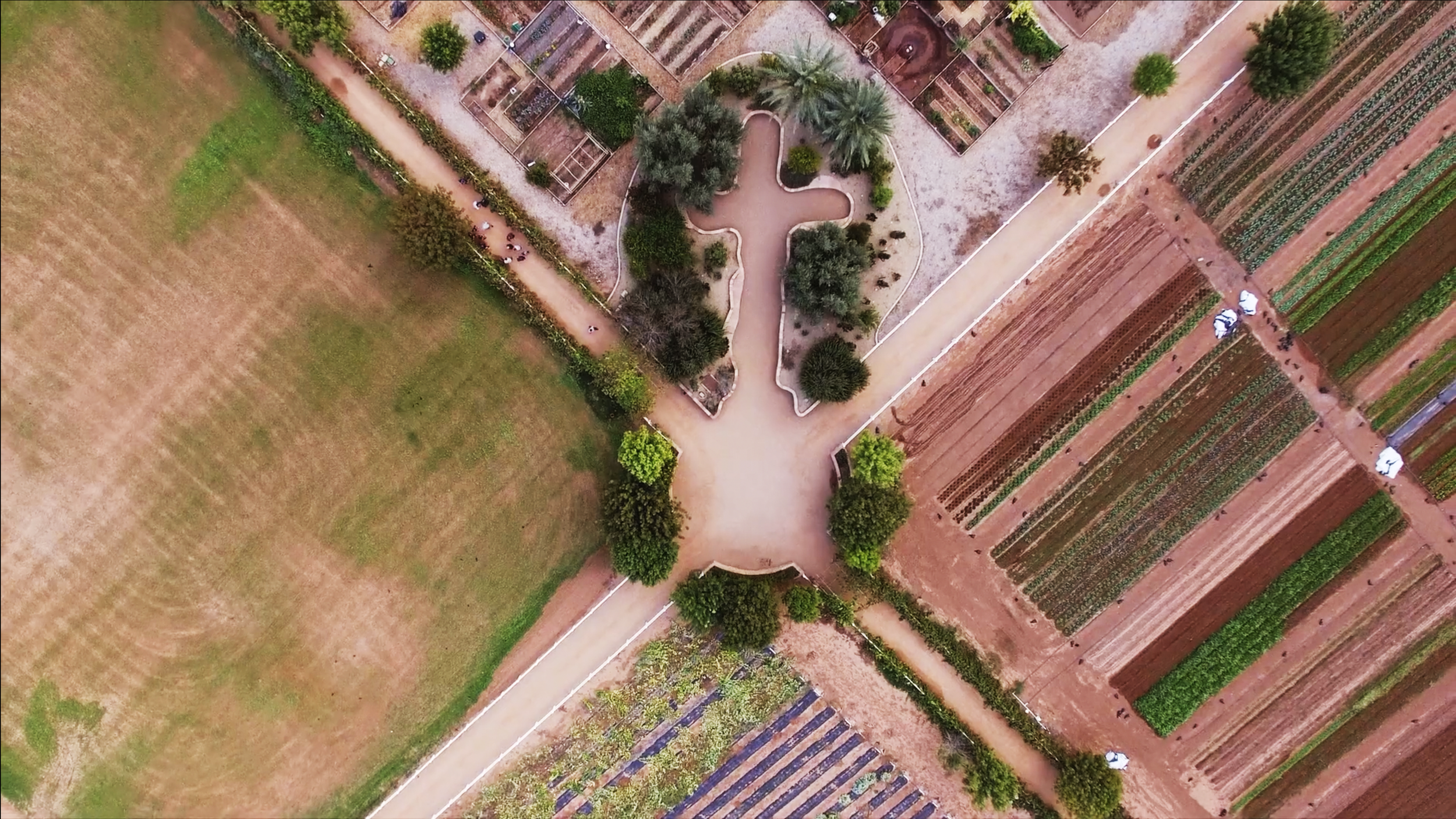 Biblical Garden.png