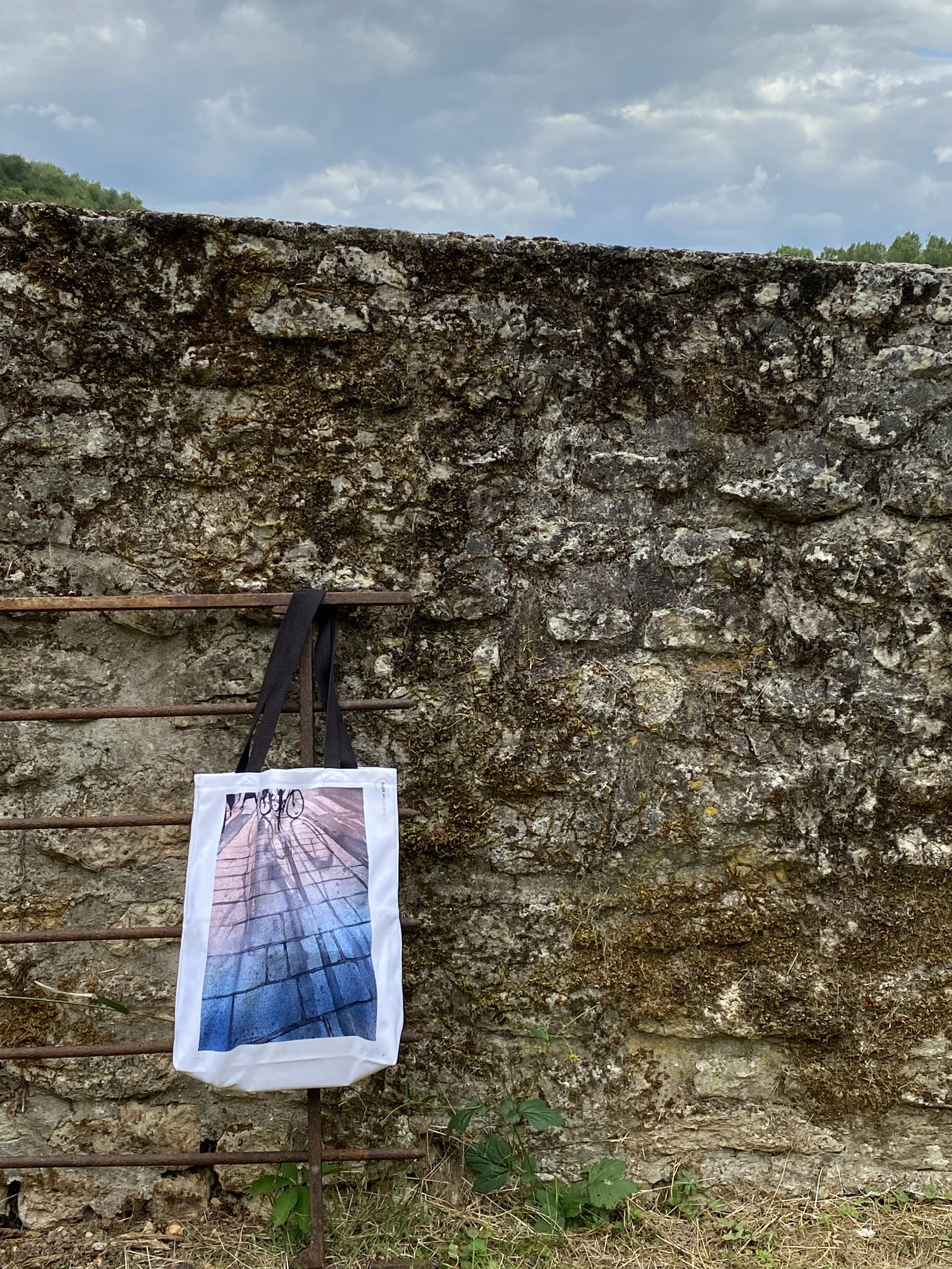 49E3B74F-D88E-4645-B236-5BAD2423F66C