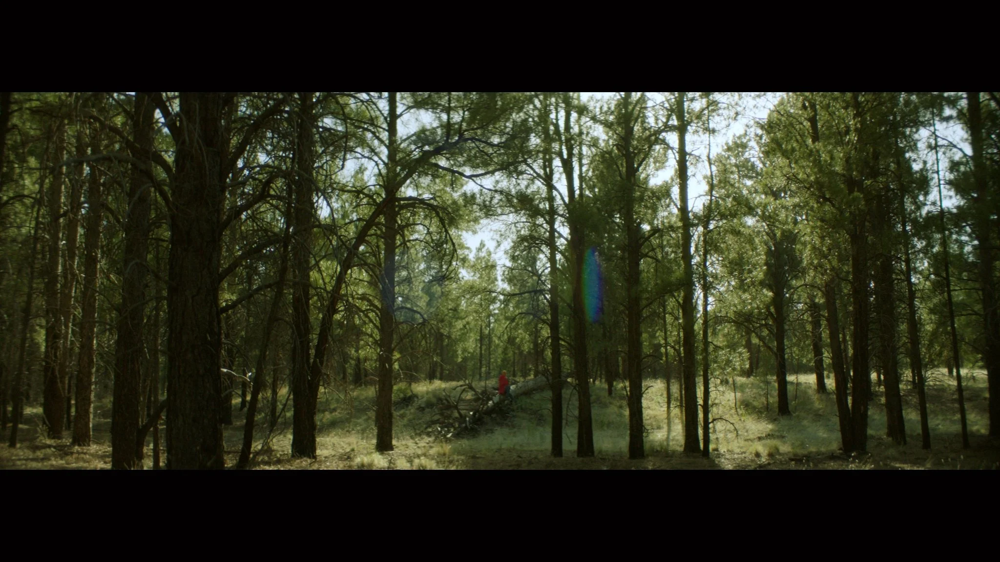 Stills Color_V2_1.3.1.jpg