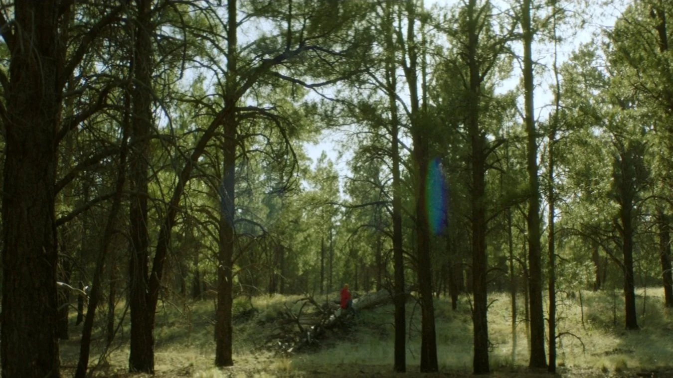 Stills+Color_V2_1.3.1.jpg