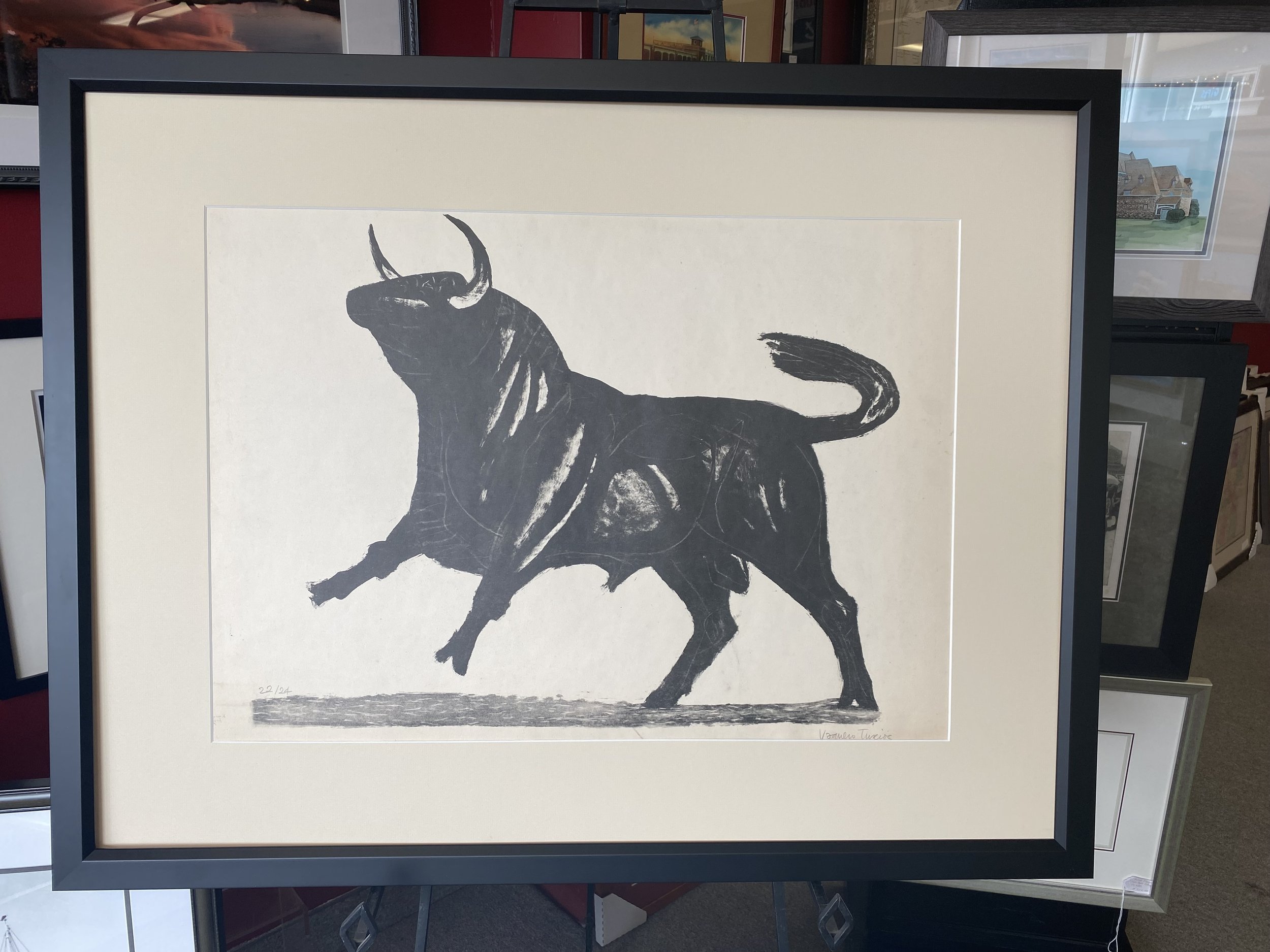 spanish bull 1.jpg