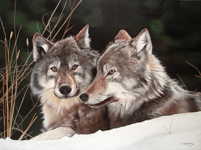 Close Companions