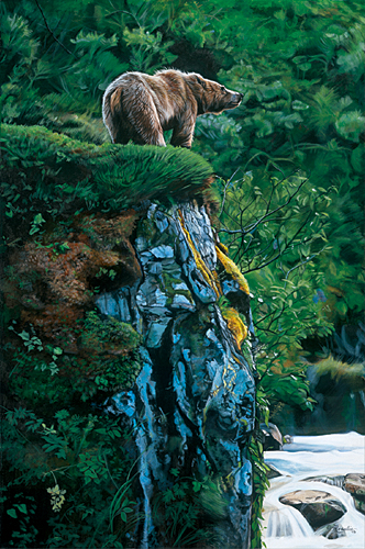 Lookout Point