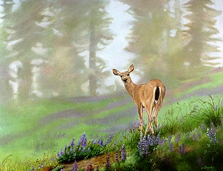 Spring in the Meadow