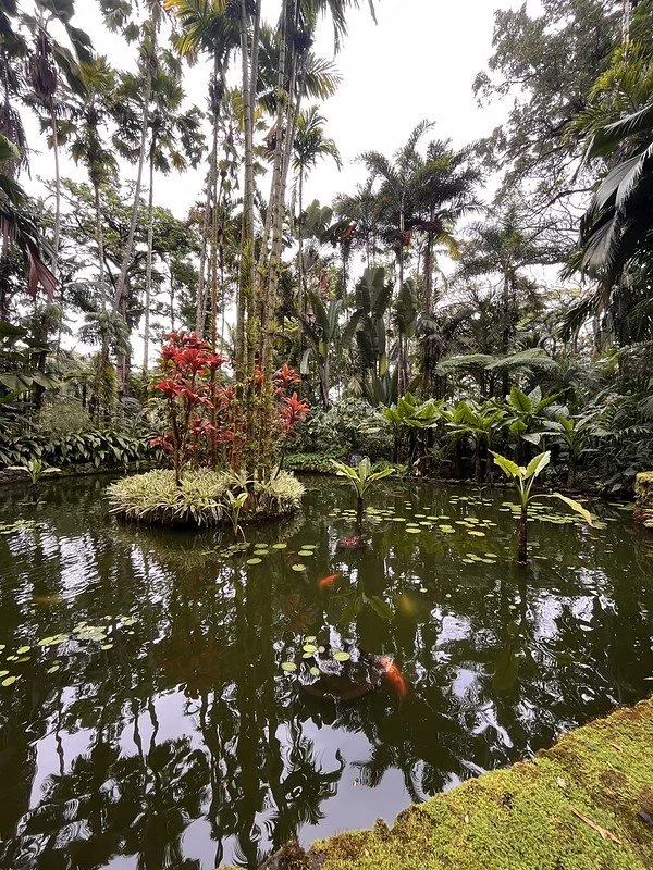 53747869657_36650b3910_c.jpg
