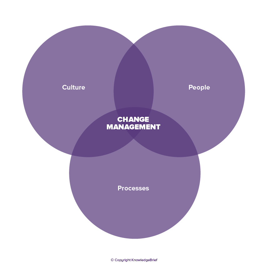 changemanagementdiagram.png