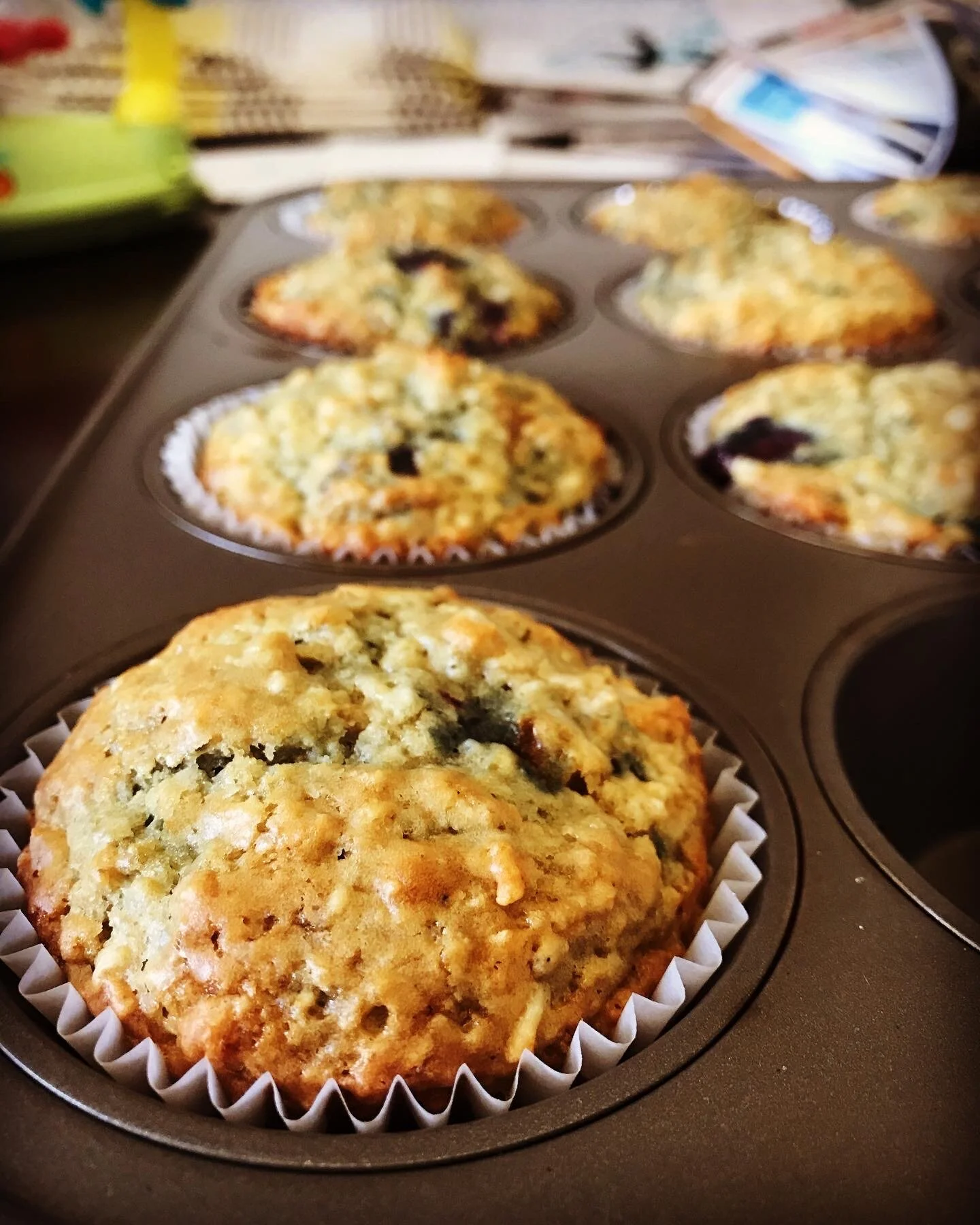 Blueberry Oat Muffins