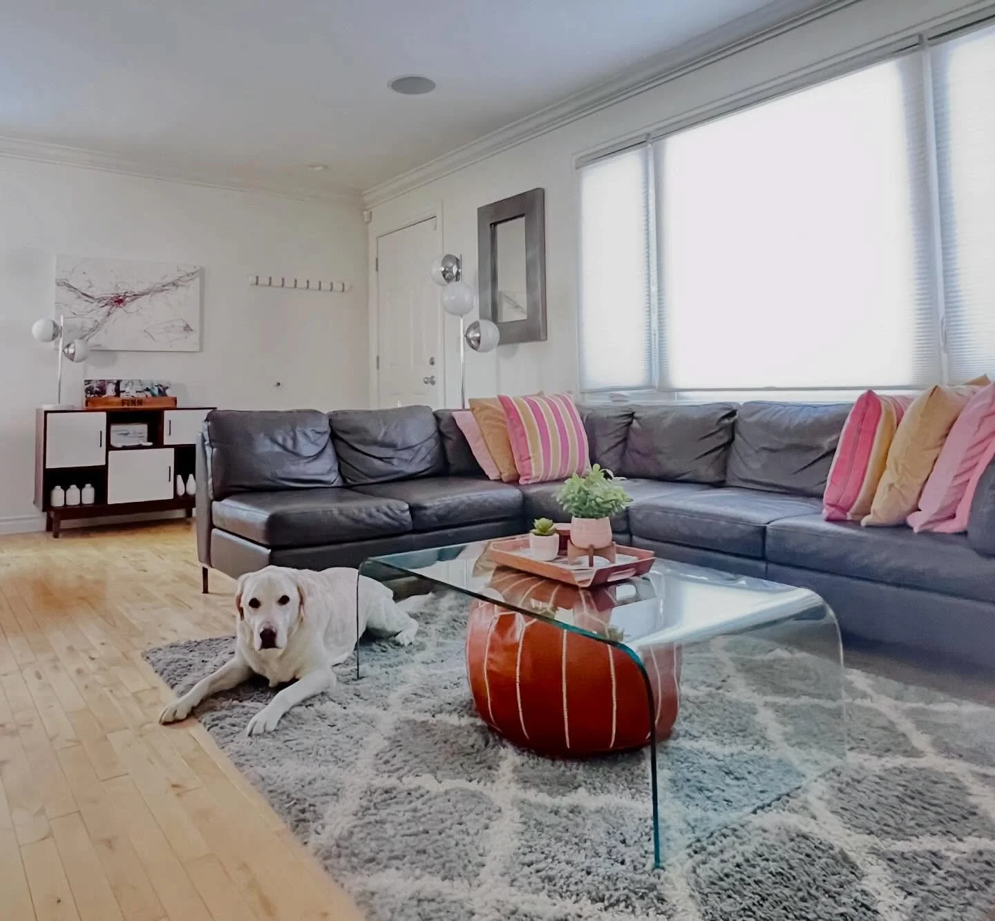 Declutter Challenge January 29 - Clean &amp; organize living room.

I love our decluttered home! Here&rsquo;s Finn enjoying our living room❤️🐾
.
.
.
.
.
#declutteryourlife 
#declutteryourhome 
#declutterchallenge 
#goodintentions 
#getorganized