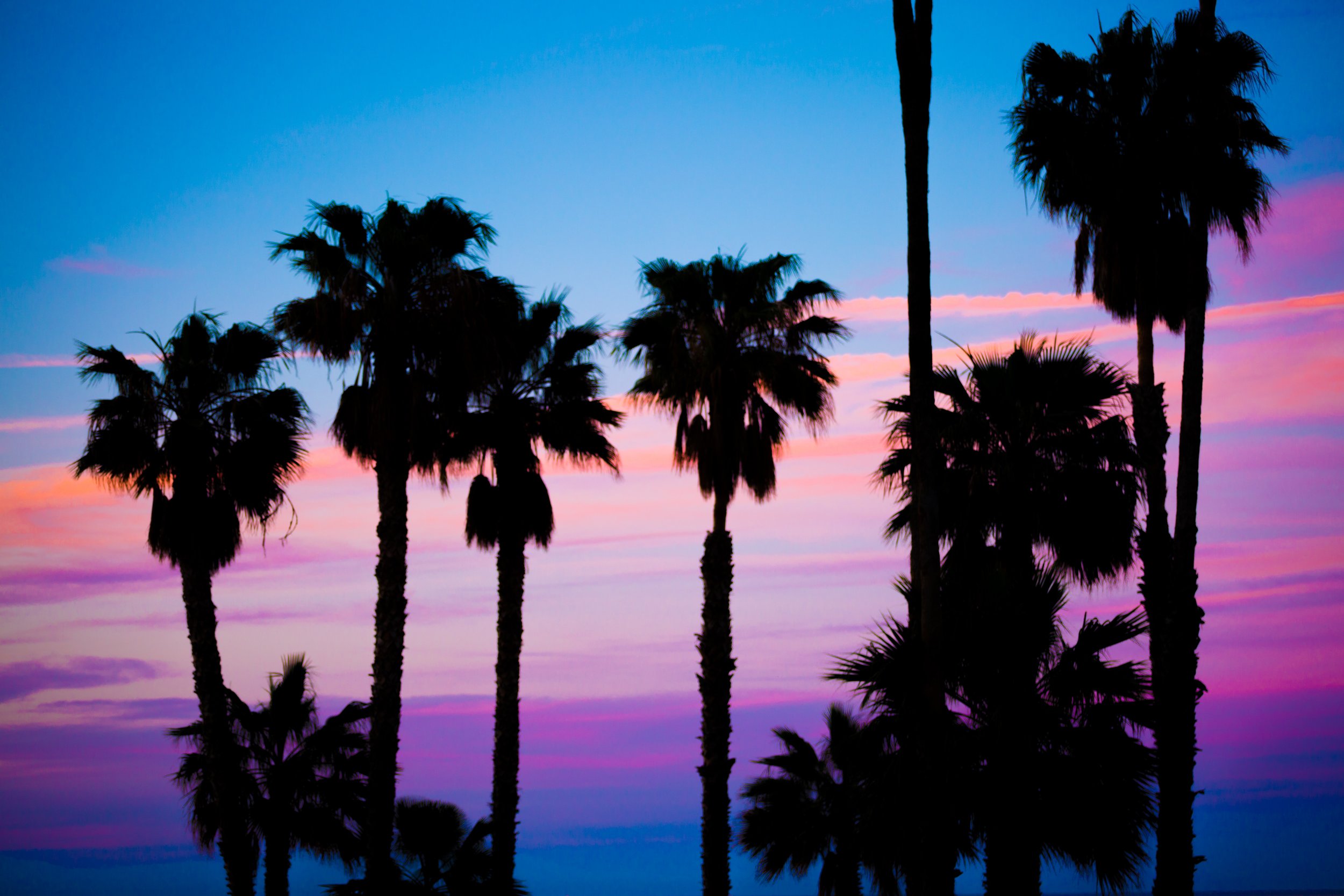 clouds-coconut-trees-golden-hour-749319.jpg