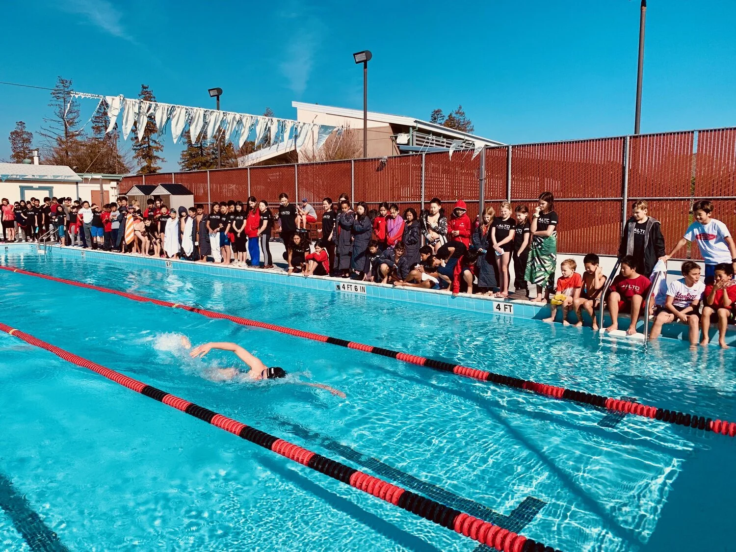 ALTO Announces Virtual Swimming and Fitness Camp