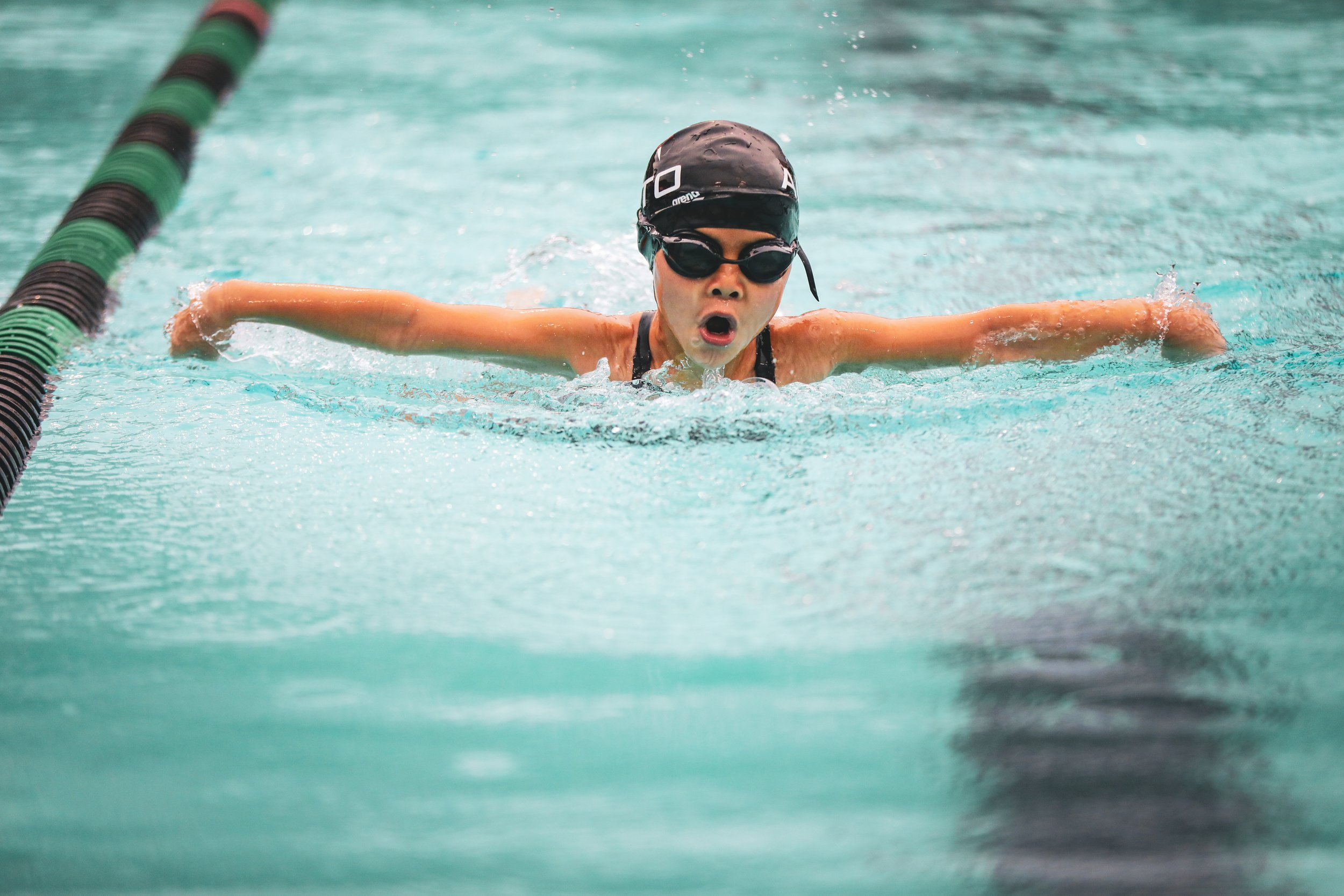 Alto Swimmers Head Into Winter Break With a Successful Showing at the Holiday Invite