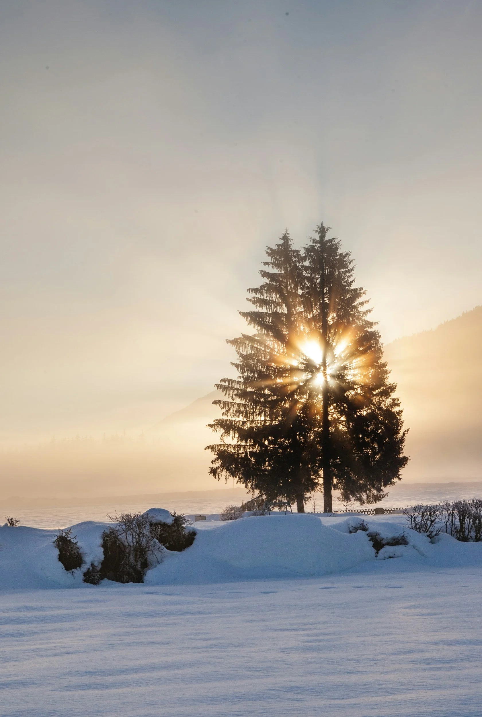 Winter Solstice Gather &amp; Ground