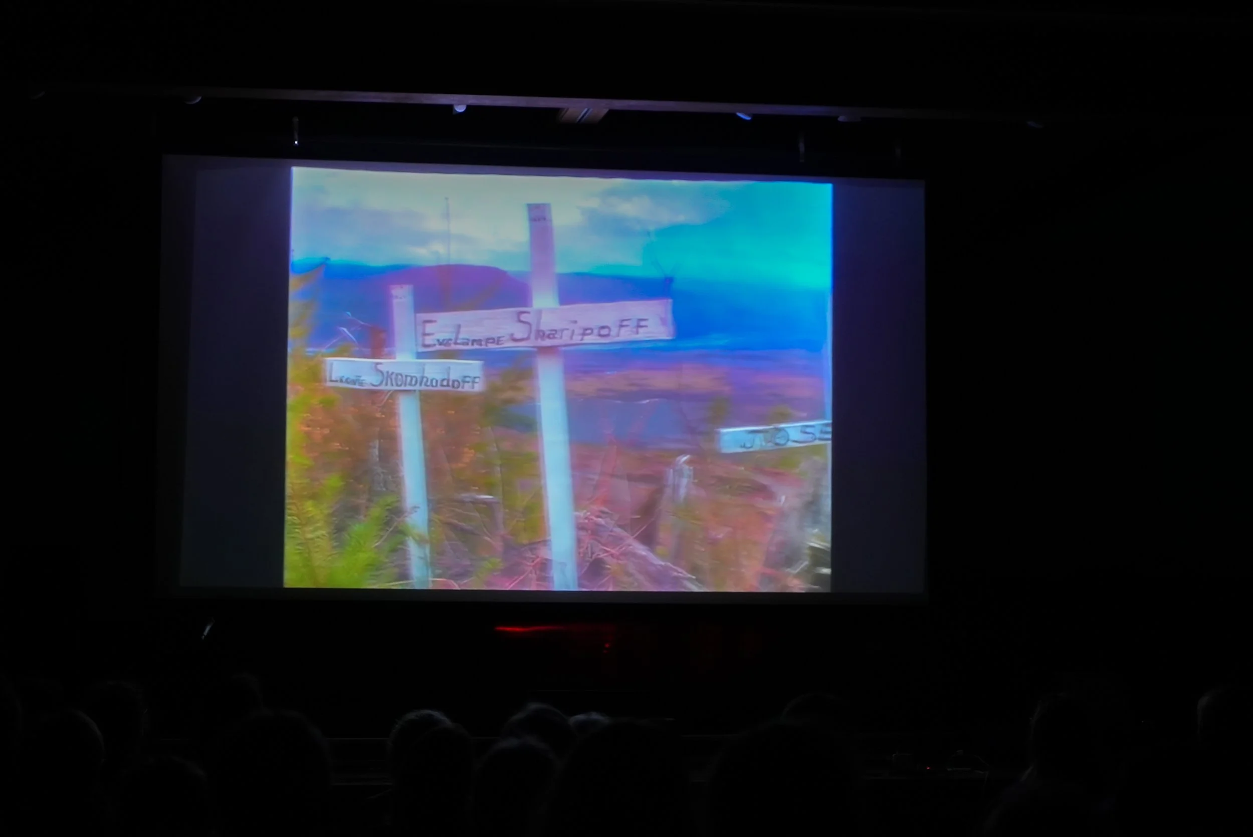 Fire Below Us_Screening_photo-66.jpg