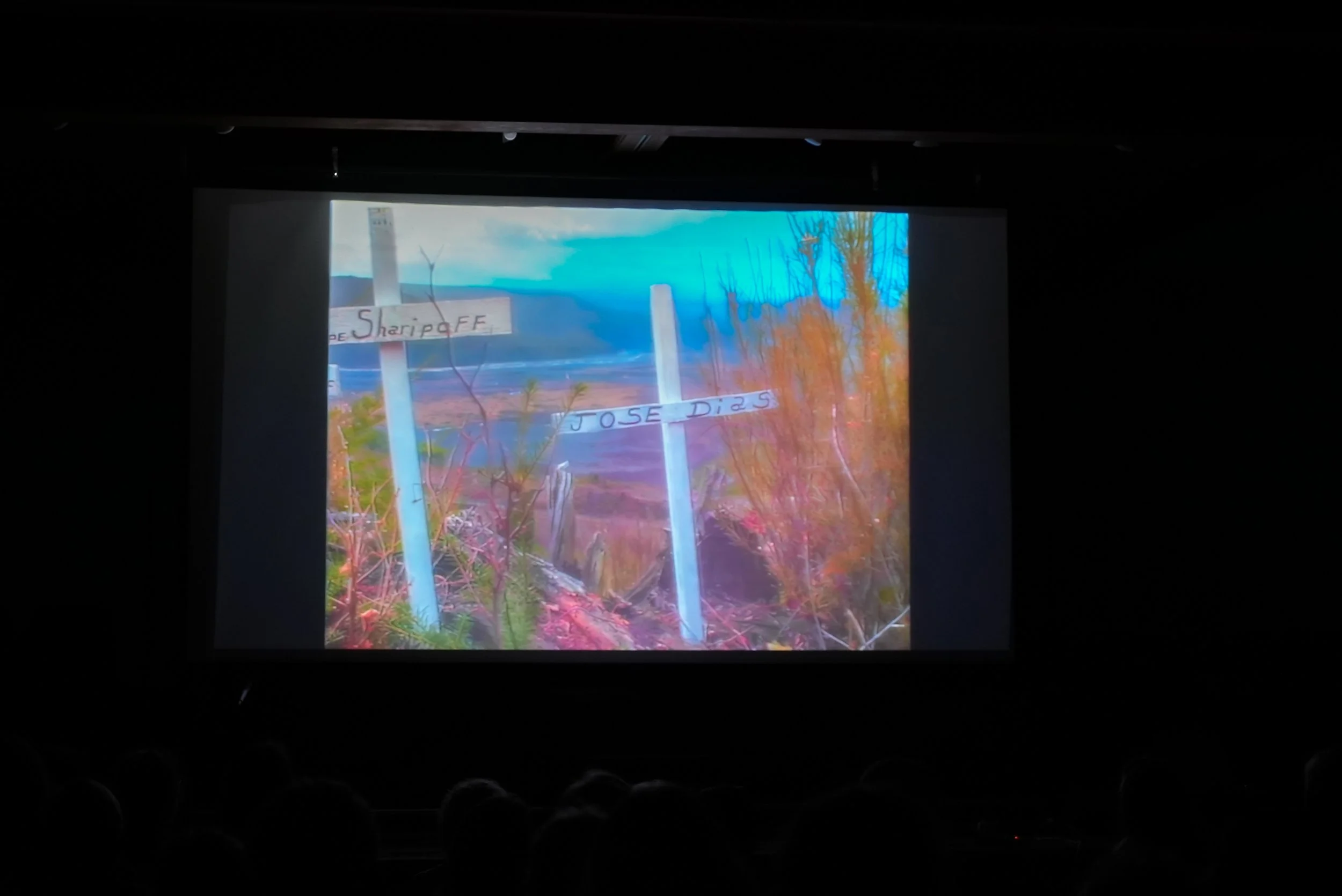 Fire Below Us_Screening_photo-67.jpg