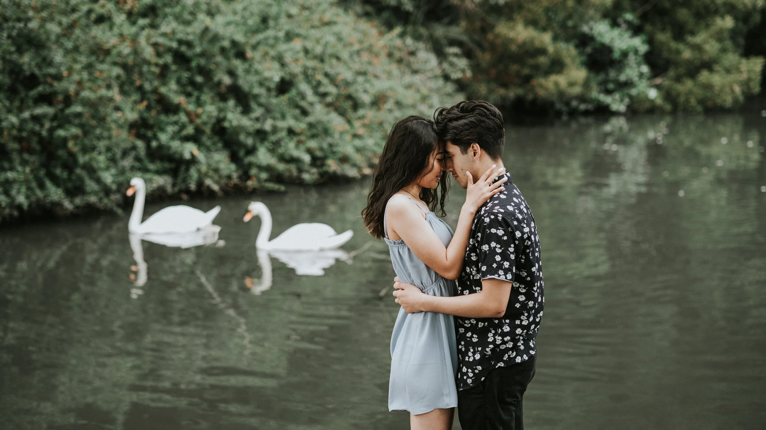 swan.jpg