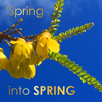 Spring into Spring