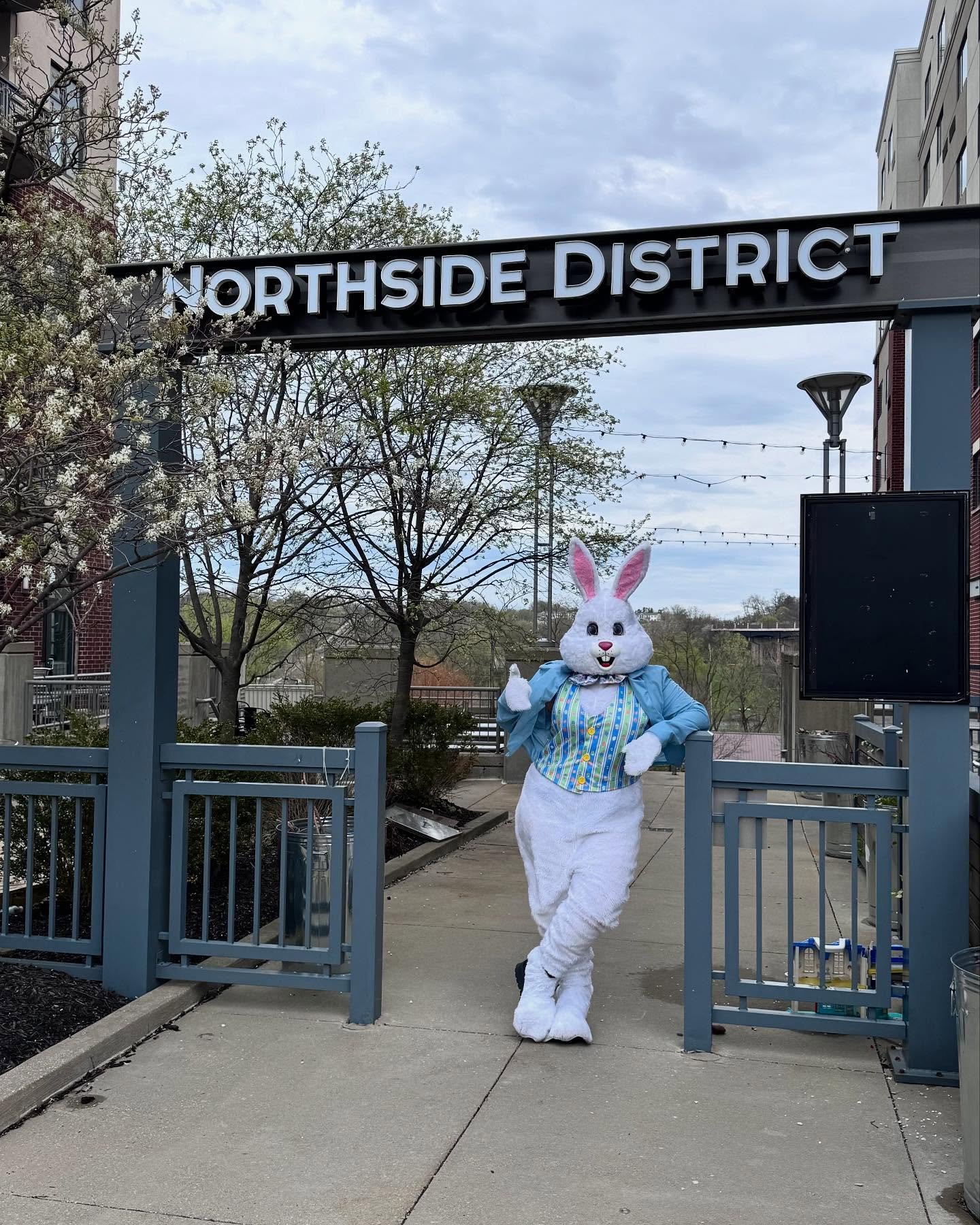 Hoppin&rsquo; into year three of Easter fun at Northside Marketplace! The Easter Bunny is back for our annual FREE kids event, made possible by the Lepley &amp; Co. Cares Fund. While all youth egg hunt slots are full, we&rsquo;ve got free coloring an