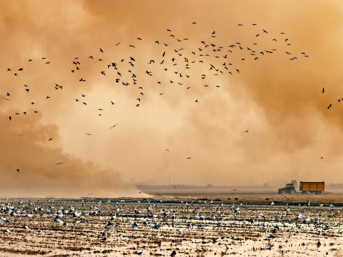 Photo by Jacinto Román .
