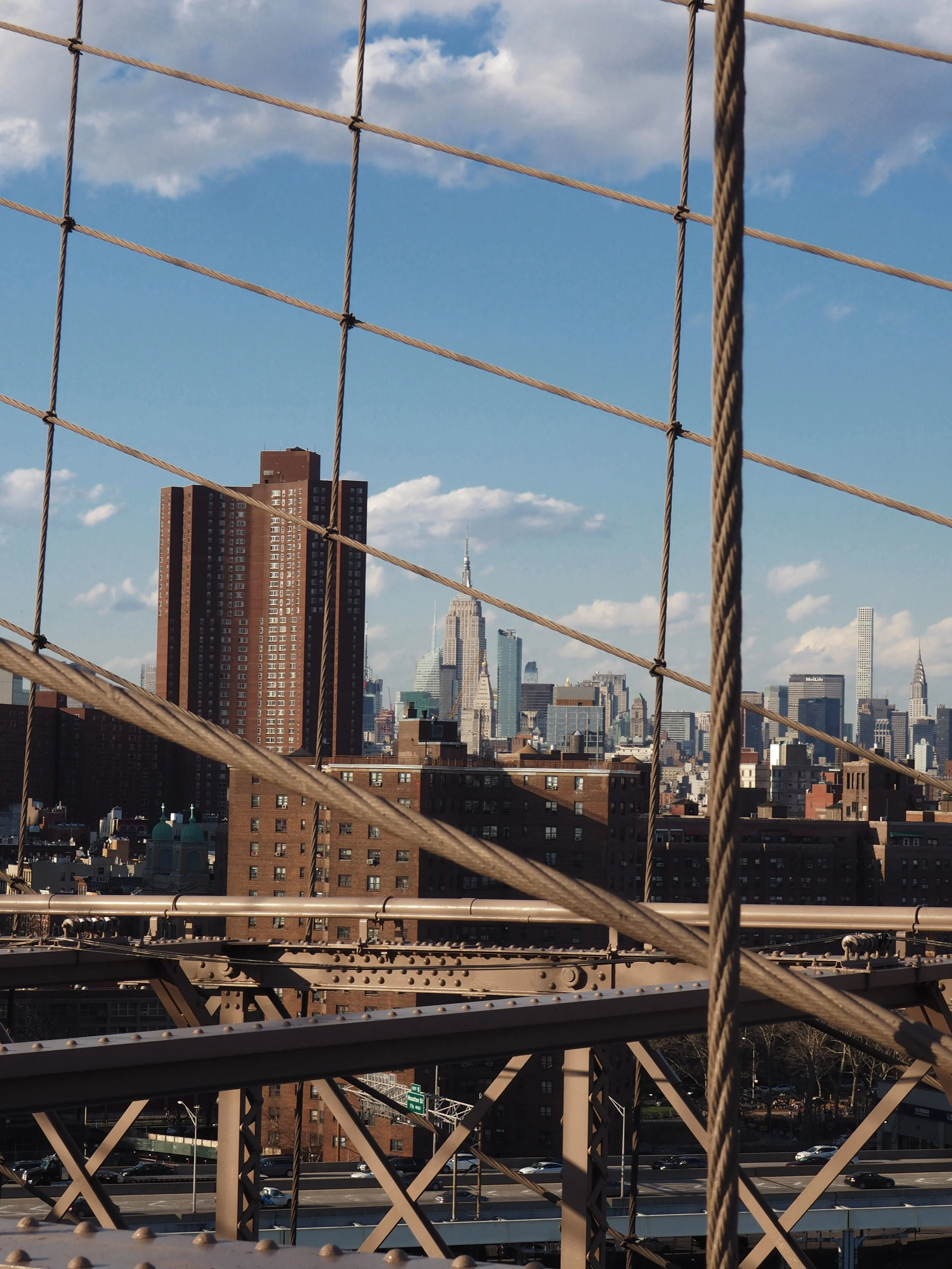 Public Power for a Desperate City: Planting Ecosocialism in the Ruins of New York