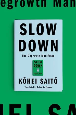 Repair the Rift: A Review of “Slow Down”