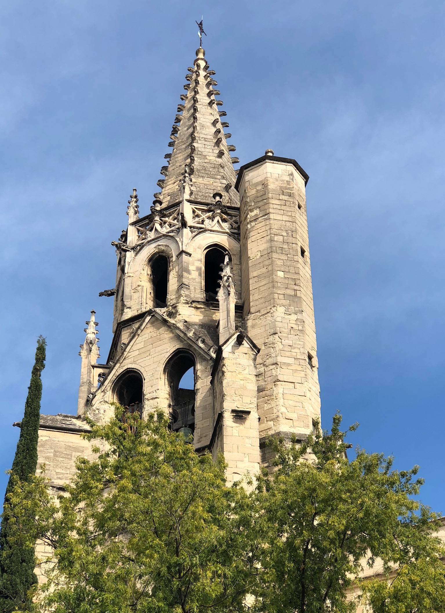 Palais des Papes | Avignon