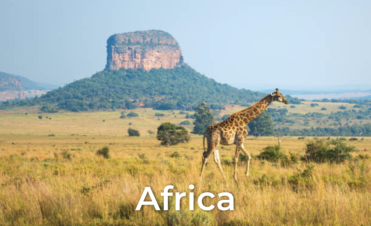 Africa.png