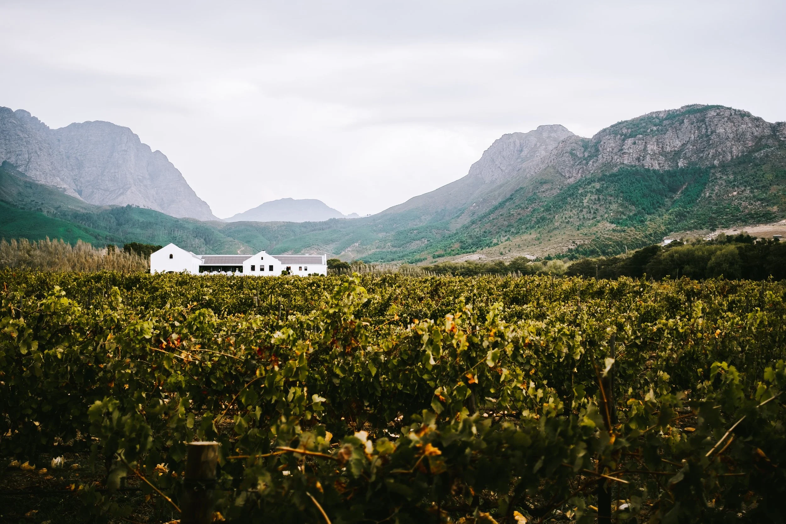 Franschhoek Winery