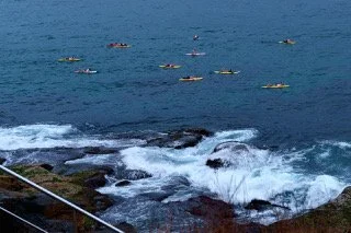 untitled--3 copy.jpeg