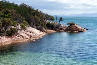 untitled--6 (1) copy 3.jpeg