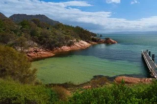 untitled--7 copy.jpeg