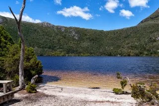 untitled--9 copy.jpeg