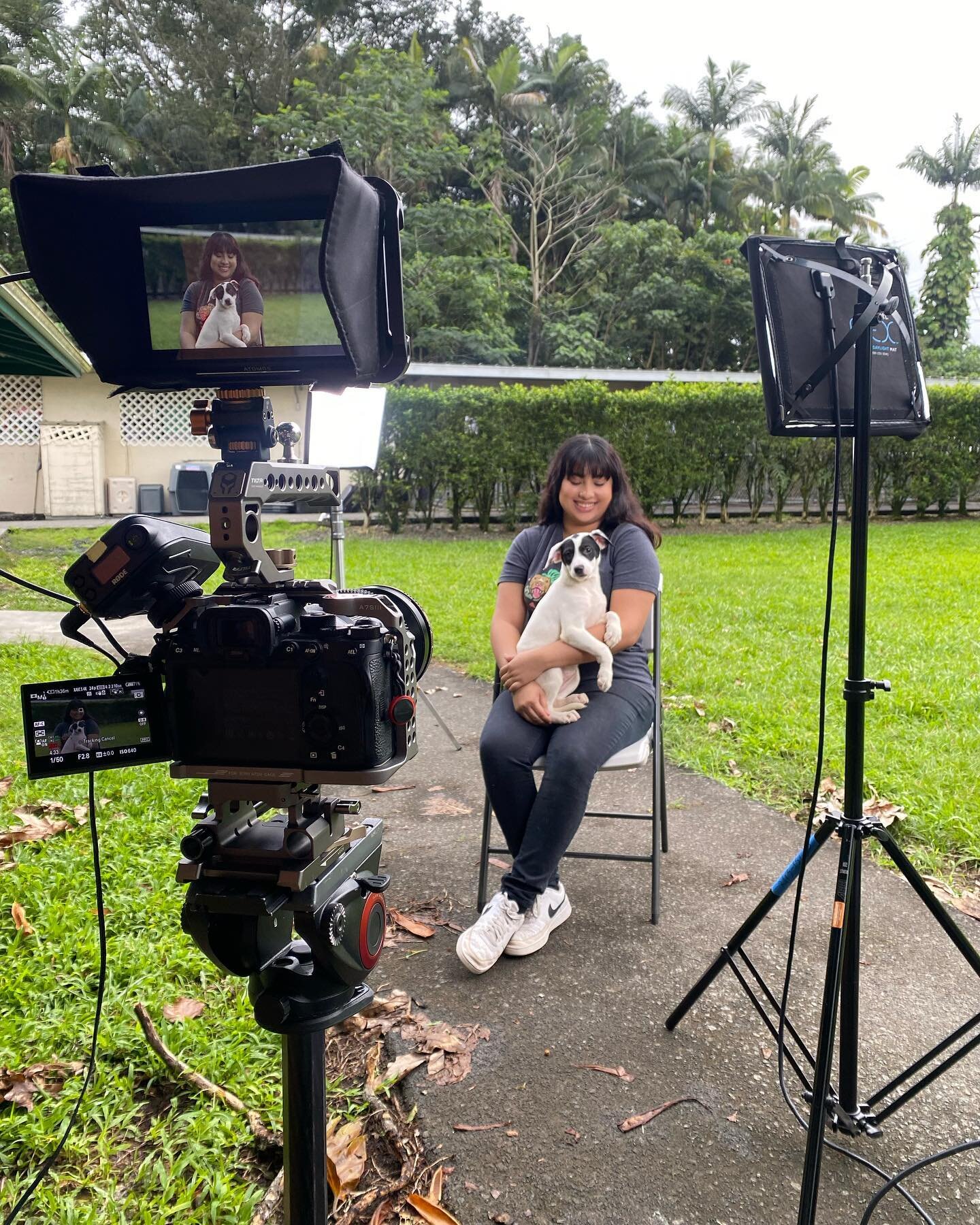 A few behind-the-scenes shots from our @hawaiiislandhumanesociety shoot. We&rsquo;re hard at work in post-production now preparing the edit for their upcoming fundraiser. We nearly came home with a new large dog and a 3 legged cat. After some reflect