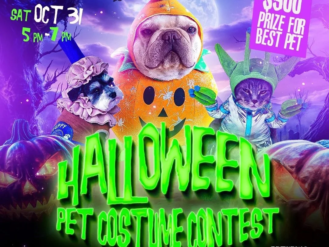 🐶🎃 Halloween Pet Costume Contest