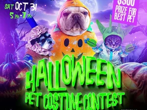 🐶🎃 Halloween Pet Costume Contest at The Yard at 3 Dollar Bill