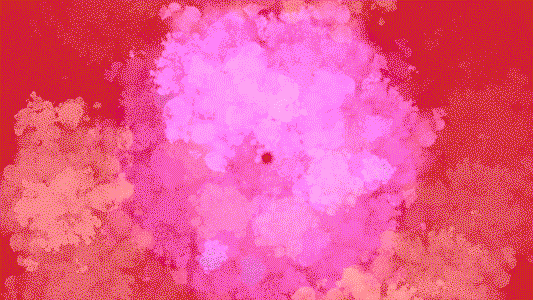 c.gif