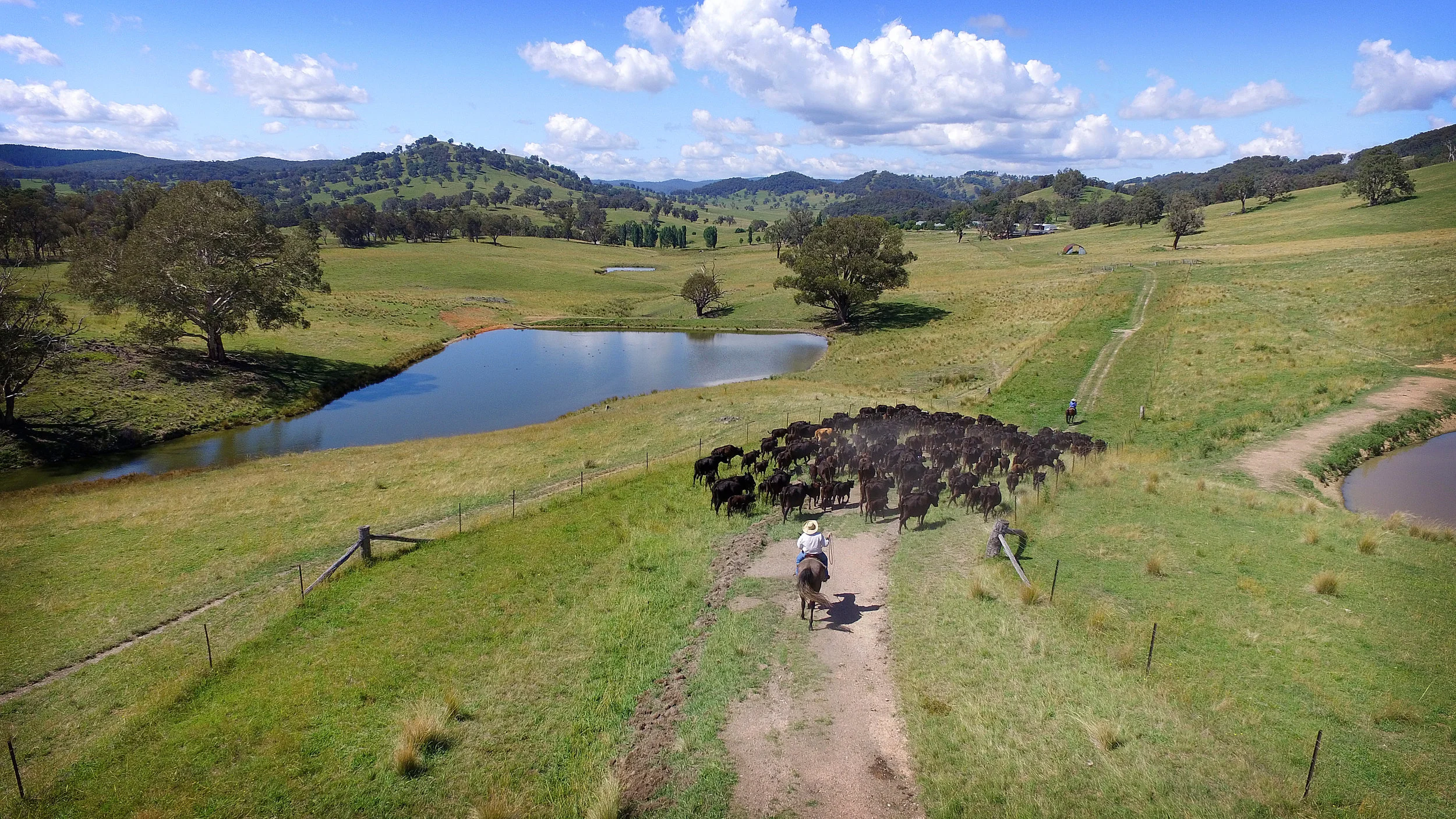 DJI_0041.jpg