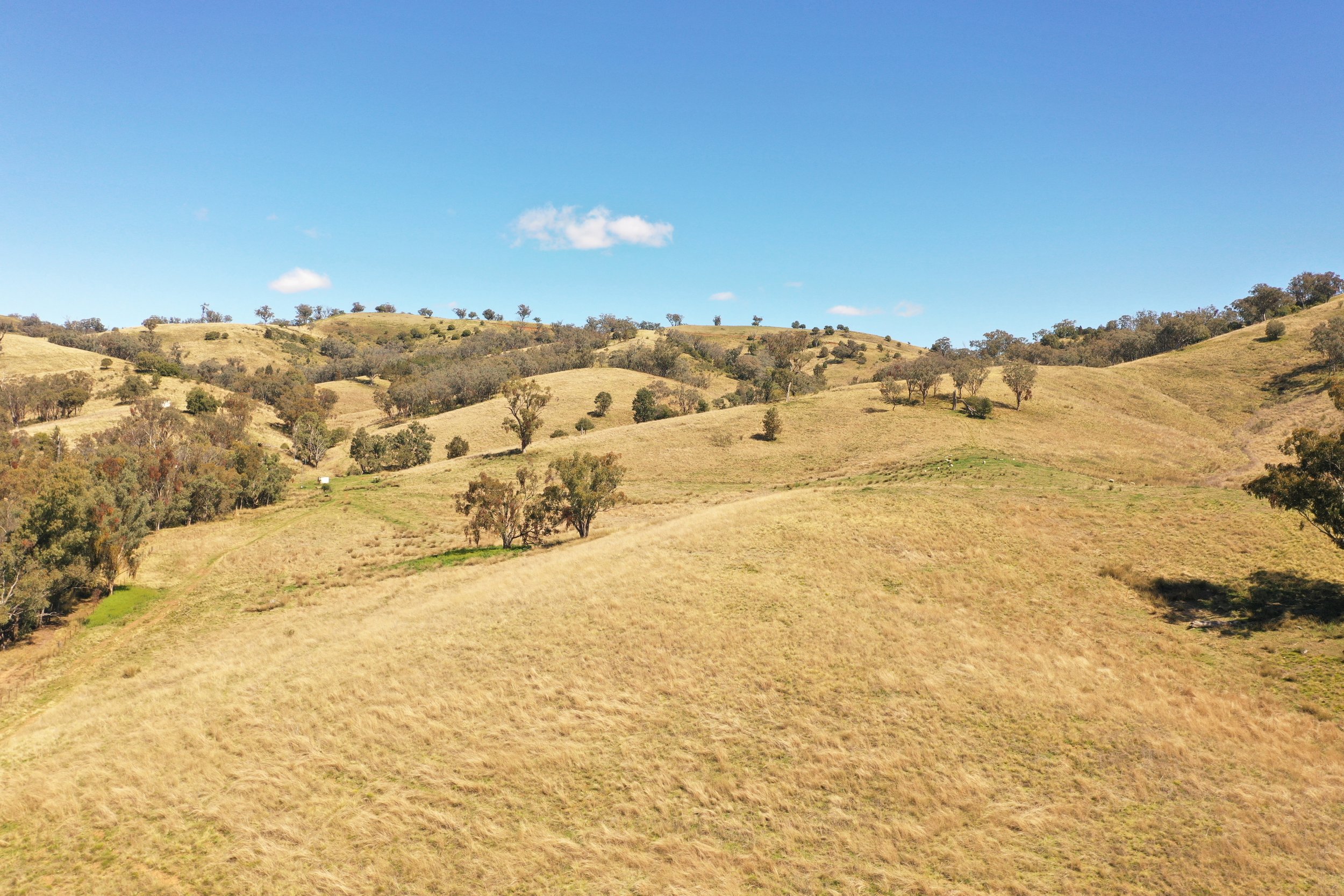 DJI_0349.JPG