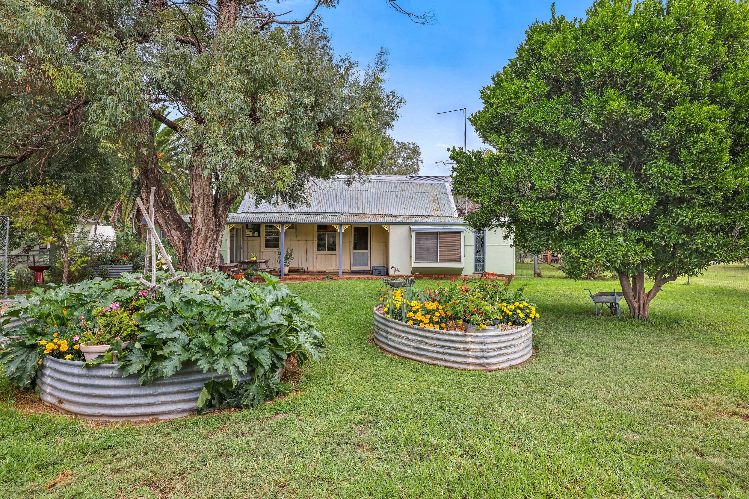 2156 halls creek rd details — Purtle Plevey