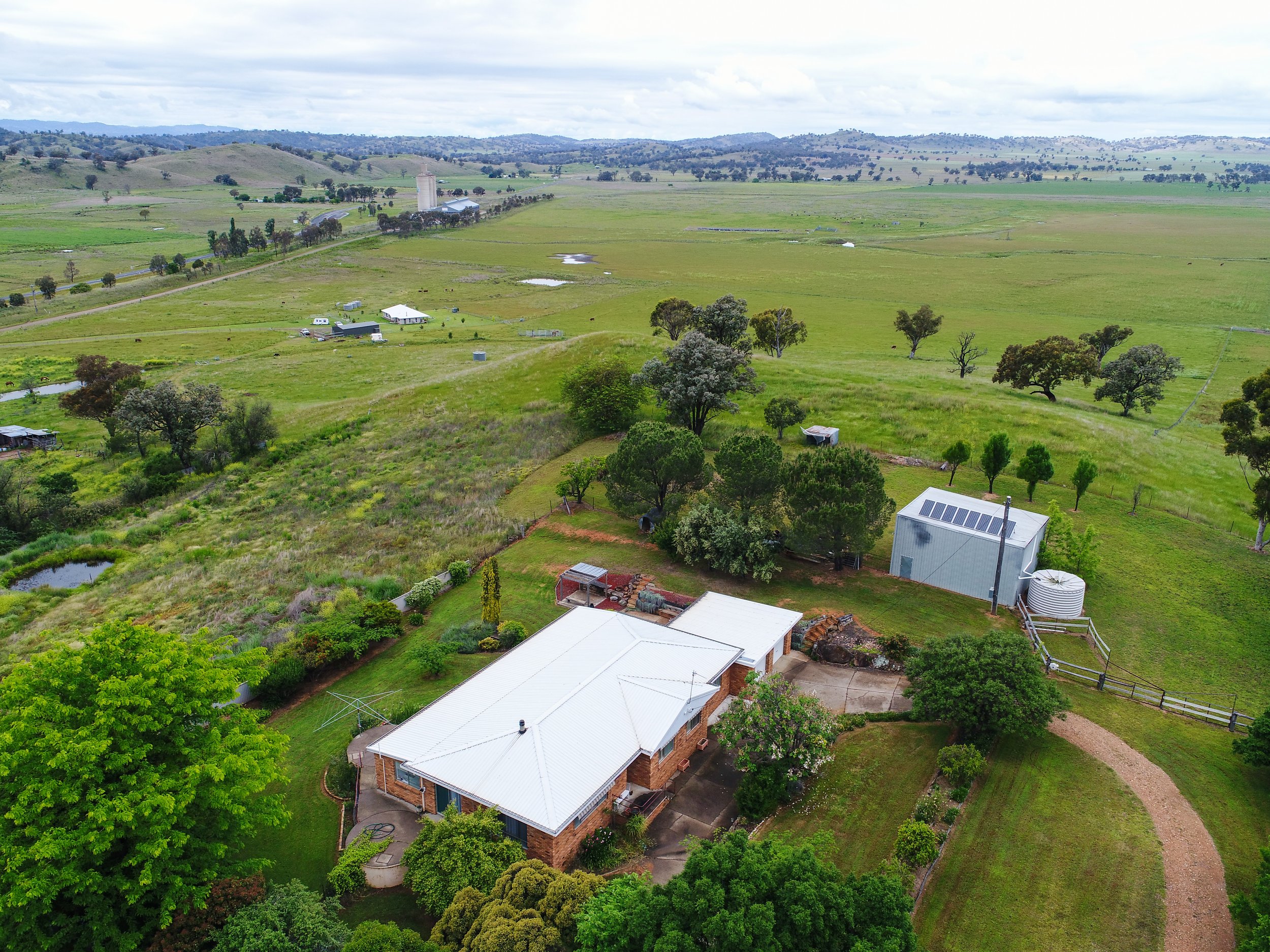 Purtle_Barraba_024.jpg