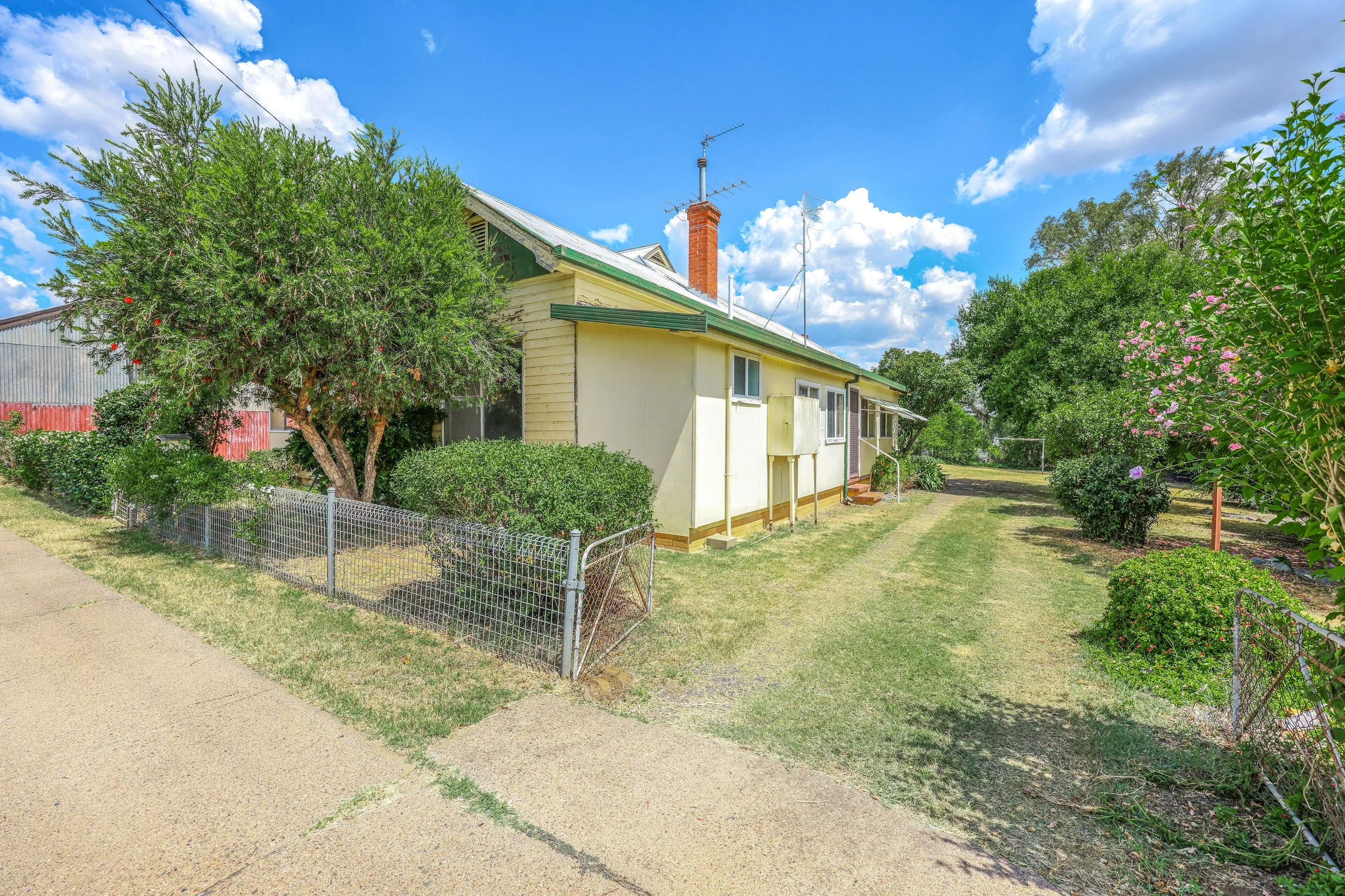 13 ALICE ST DETAILS — Purtle Plevey