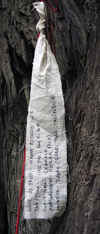Participatory Mapping Survey at Humboldt Redwood State Park in Northern California, 2014.