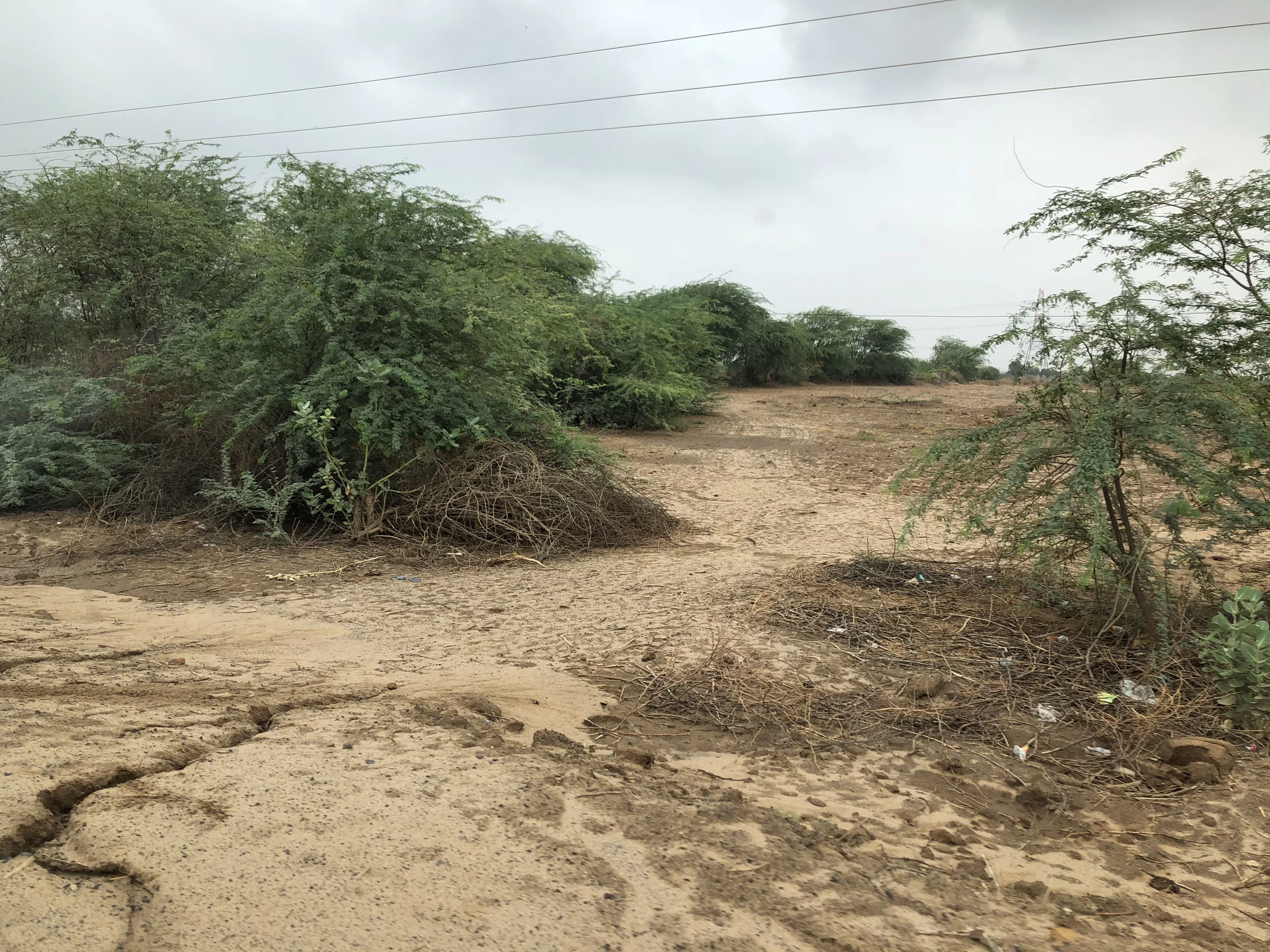 23_Bhuj landscape 2.jpg