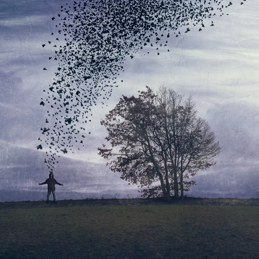 Bird-Man.jpg