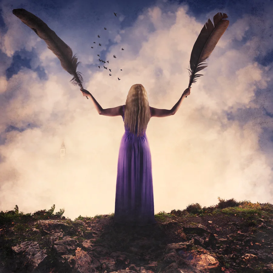 Come Fly With Me