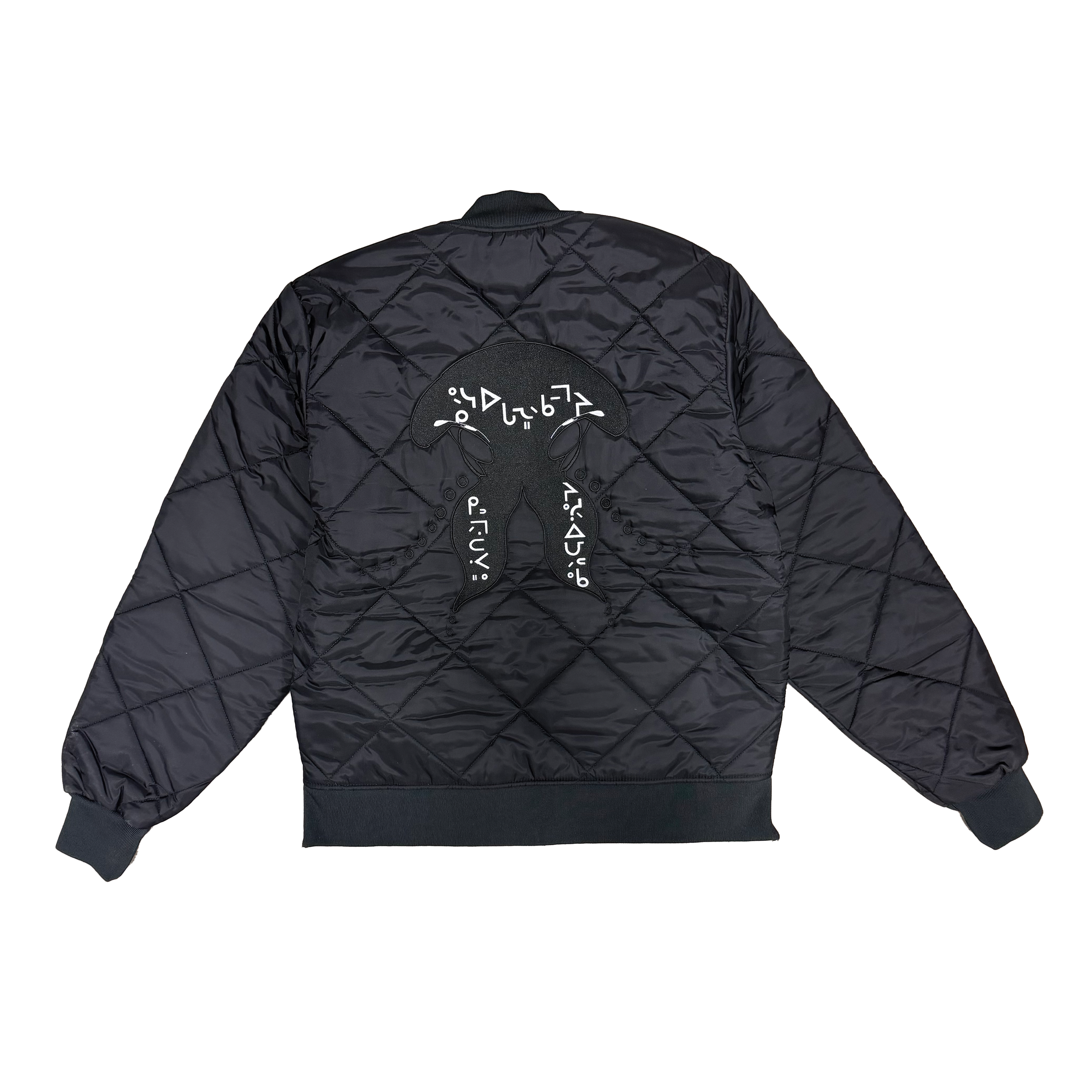 cosmicgiantjacketbak.png